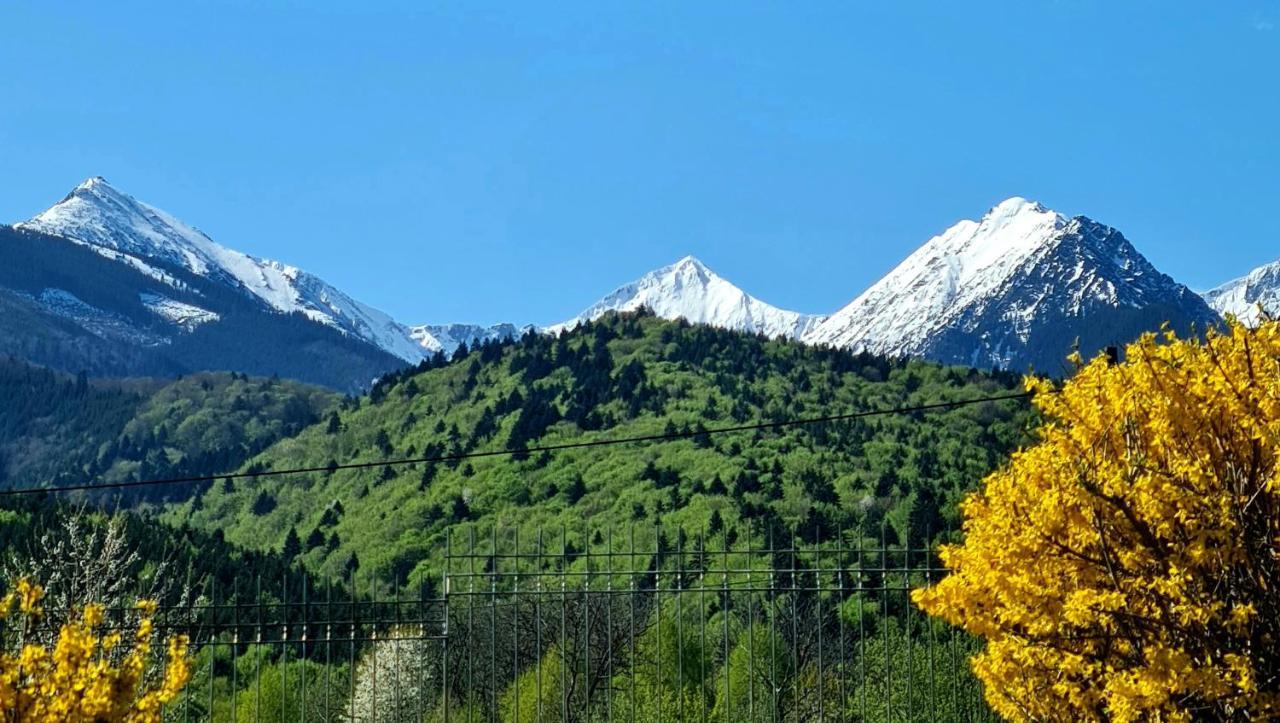 Ohana Boutique Hotel Felsővist Kültér fotó